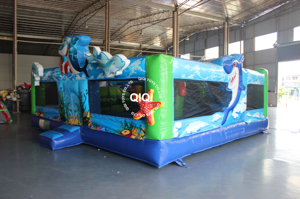 Ocean inflatable playground